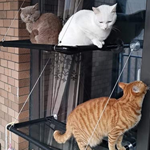 Cat window bed - Picture 3 of 7